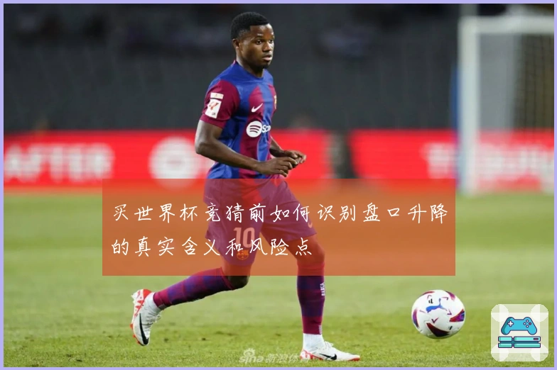 买世界杯竞猜前如何识别盘口升降的真实含义和风险点