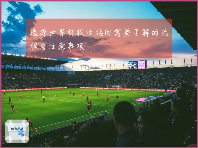 选择世界杯投注站时需要了解的流程与注意事项