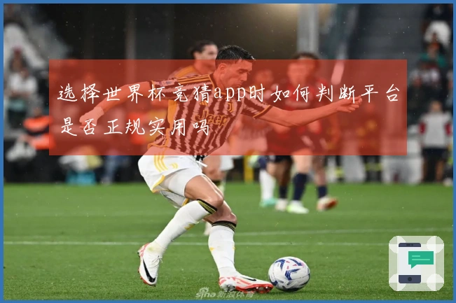 选择世界杯竞猜app时如何判断平台是否正规实用吗