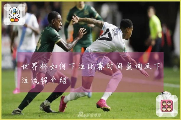 世界杯如何下注比赛时间查询及下注流程介绍