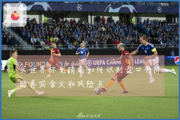 买世界杯竞猜前如何识别盘口升降的真实含义和风险点