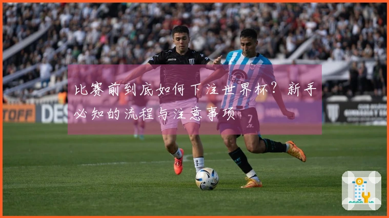 比赛前到底如何下注世界杯？新手必知的流程与注意事项