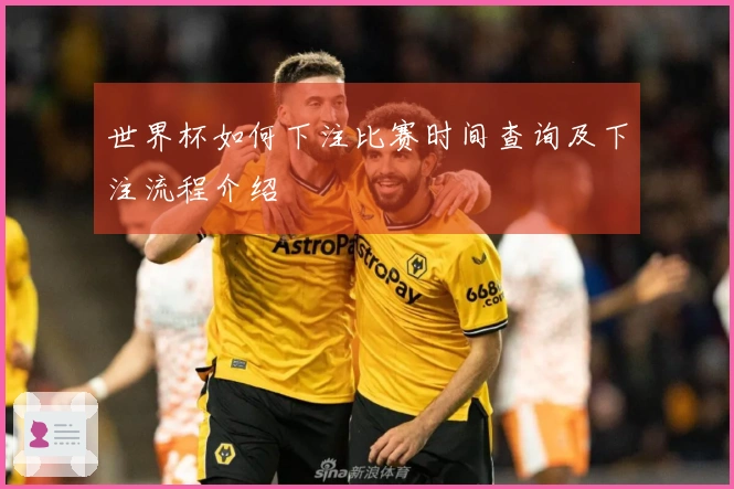 世界杯如何下注比赛时间查询及下注流程介绍